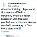 나무트레이닝 이미지