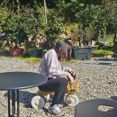 UR(광주광역시)-[임방울대로]-하-28 | 나 한게 없다