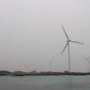 제주환상전기자전거