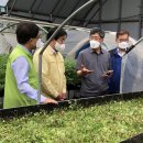 임병택 농장 이미지