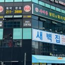 야옹아 멍멍해봐 뷰티 이미지
