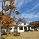 호국로1539번길 이미지