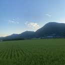 억조농장 이미지