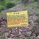 동락정미소 네이버블로그