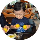 화악목장 | 한강뷰 보며 즐기는 그랜드 워커힐 클럽라운지 티타임