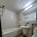 송화 우미 이미지