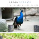 솔샘농장 이미지