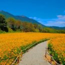 용바위2길L 이미지