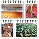 추대농장 이미지