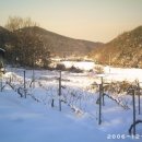 용기농장 이미지