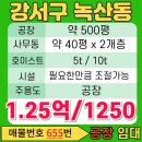 THE키움공인중개사사무소 | 여성 산단 공장 임대, 녹산동 산업단지 500평 공장을 소개합니다! (매물번호 655번)