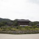 유림-1014 이미지