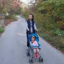 주천강자연휴양림 이미지