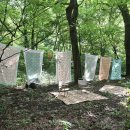 성황림마을 이미지