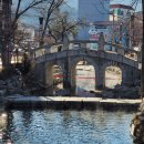 황지연못 가는길 이 이미지