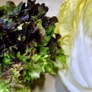 초롱식당 이미지