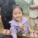 선경농장 이미지