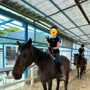 (주)신갈승마클럽 | 모두 나랑 같이 승마하자🤗 [신갈승마클럽 힐링승마지원사업 후기]