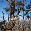 갈라산길(남선면) 이미지