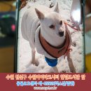한림 도서관 앞 이미지