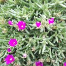 두멍부리 이미지