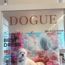 유폴 애견셀프목욕, 애견미용, 애견용품 직영점 | 동탄에서 가까운 오산 애견카페, 300평 대형에 목욕까지 가능한 너를 위한 카페 방문 후기