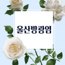 달빛여성의원 이미지