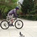 바니호프 이미지