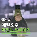 마얀 | 일본여행선물 추천 일본술 사케 메밀소주 소바소주 마얀노쓰부야키 マヤンの呟き시음기