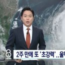 100년만의 역대급 허리케인 '밀턴' 상륙, 플로리다주민 600만명 대피령 이미지