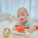 우리 | 아기 젖병 모브아 사용 후기｜우리 아기의 하루 수유 루틴
