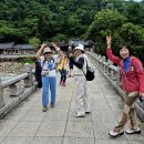설악산 용대리 ~ 백담사 ~ 영시암 테마여행 이미지