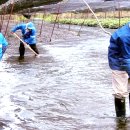 대왕농장 이미지