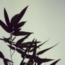 찾아가는 행정사사무소 이미지