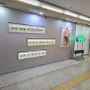 눈썹쟁이 이미지