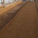 송영신목장 이미지