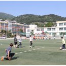 브레인박사태권도 이미지