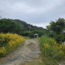 와룡체육공원 이미지