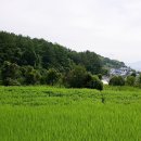 남해-185 이미지