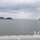 남태평양횟집 이미지