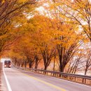 탄금호의 아침 이미지