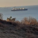 남해설레임 이미지