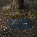 당치회관 이미지