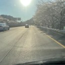 파장동 주민센터 | 수원 장안구 자차운전연수 비용 방문운전연수로 배우고 초보운전 탈출!