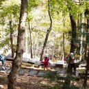 전남권환경성질환예방관리센터 이미지