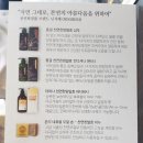 닛시레
