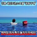 5월호텔 | 가족여행 강릉 숙소 추천｜세인트존스호텔 키즈 친화 호텔 후기 &amp; 5월 공동구매 소식