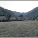 의령 보천사지 승탑 이미지