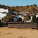 노을 물든 숲길펜션 이미지