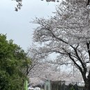 가락생태공원(2) 이미지